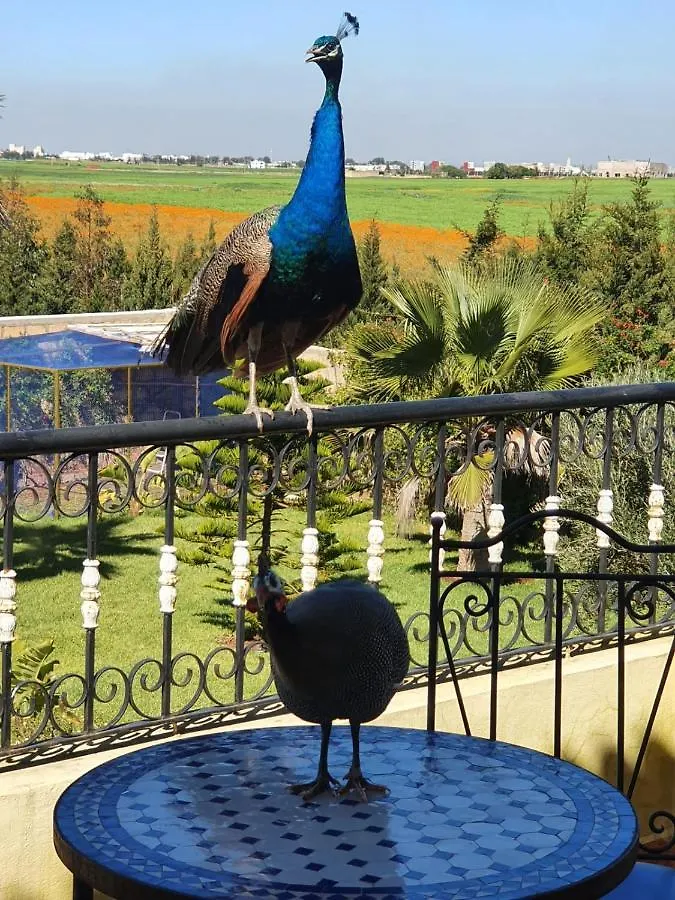Bed & Breakfast Riad Tanjil Nouaceur Morocco