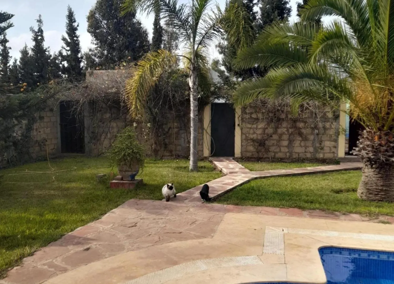 Riad Tanjil Nouaceur 0*,